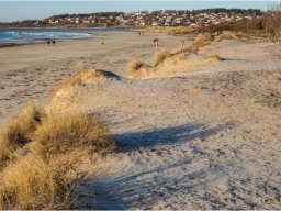 Sandlife